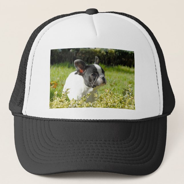 Casquette Mignonne taurin français sur l'herbe (Devant)