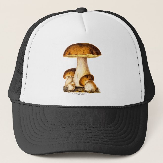 Casquette Modèle comestible de champignons de champignon (Devant)