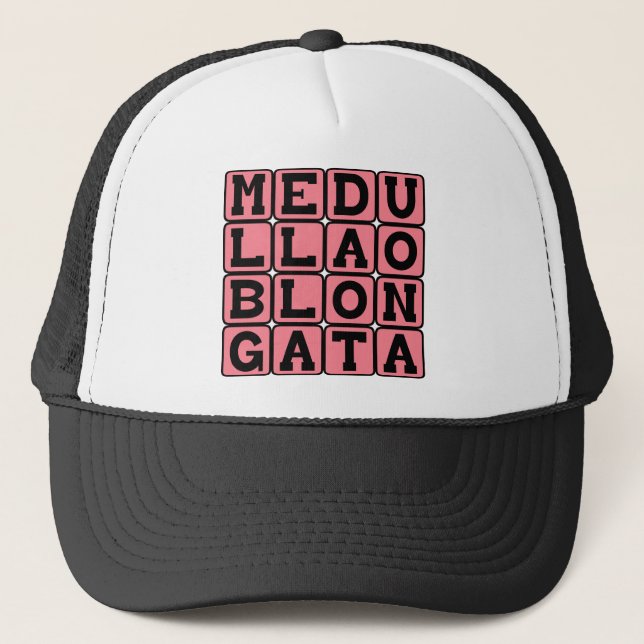 Casquette Moelle allongée, tronc cérébral inférieur (Devant)