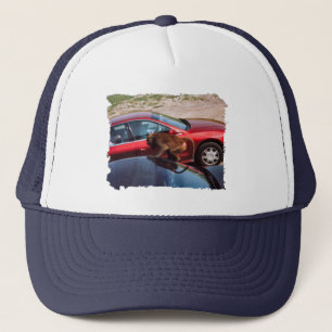 Casquette Monkey Business