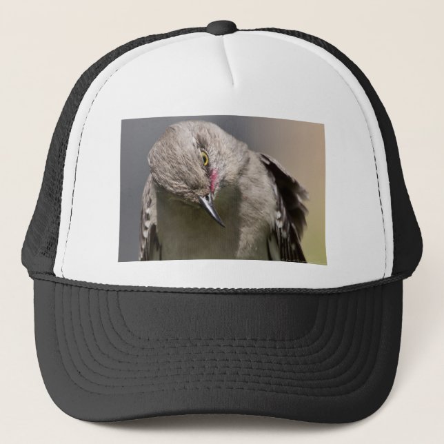 Casquette Moqueur polyglotte se Prosterne Vêtements & Cadeau (Devant)