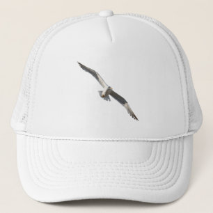 Casquette Mouette volante