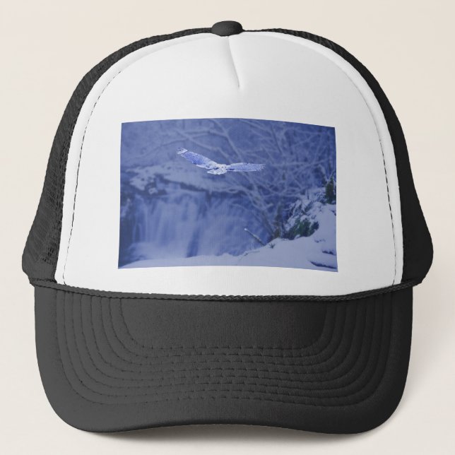 Casquette Moulton tombe esprit de hibou de Washington - de (Devant)