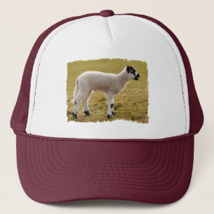 Casquette Moutons bêlants de bébé d'agneau blanc noir mig