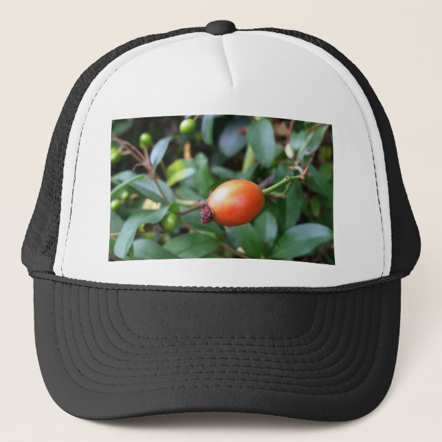 Casquette mûrir à la hanche rose (Devant)