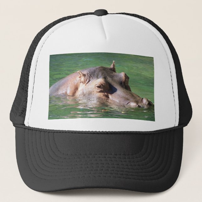 Casquette Natation d'hippopotame sur la surface (Devant)