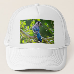 Casquette Nature Photographie Shy Blue Jay Vêtements Cadeaux