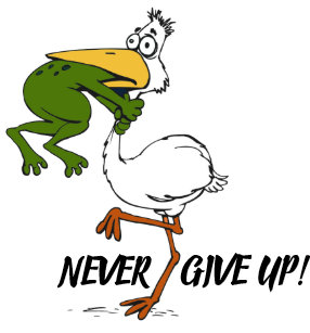 Cadeaux Citation Grenouille Zazzle Fr