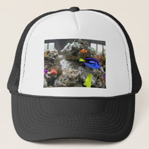 Casquette Nemo avec sa bande