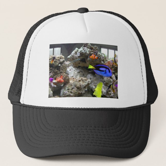 Casquette Nemo avec sa bande (Devant)