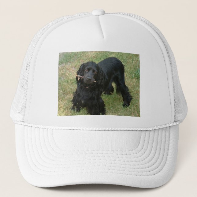 Casquette noir anglais cocker spaniel plein 2 (Devant)