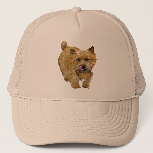 Casquette Norwich Terrier (Devant)