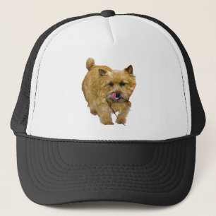 Casquette Norwich Terrier
