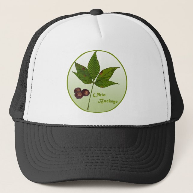 Casquette Ohio Buckeye Tree (Devant)