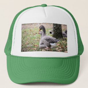Casquette Oie