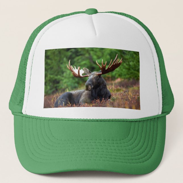 Casquette Oie (Devant)