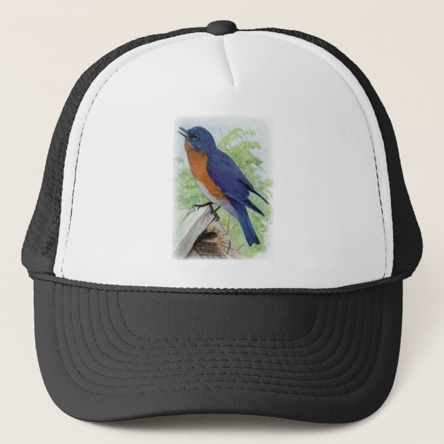 Casquette Oiseau bleu (Devant)