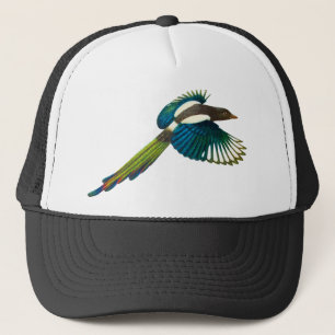 Casquette Oiseau coloré de pie, illustration vintage