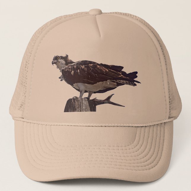 Casquette Oiseau de balbuzard (Devant)