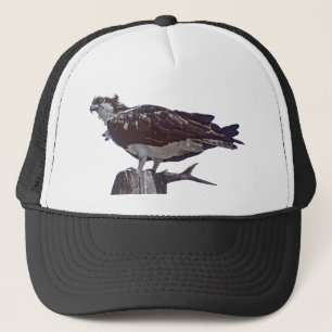 Casquette Oiseau de balbuzard