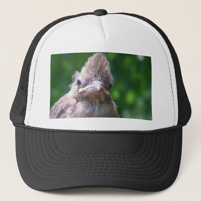 Casquette oiseau de bébé fâché (Devant)