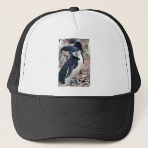 Casquette Oiseau de pingouin mignon animal noir eau blanche
