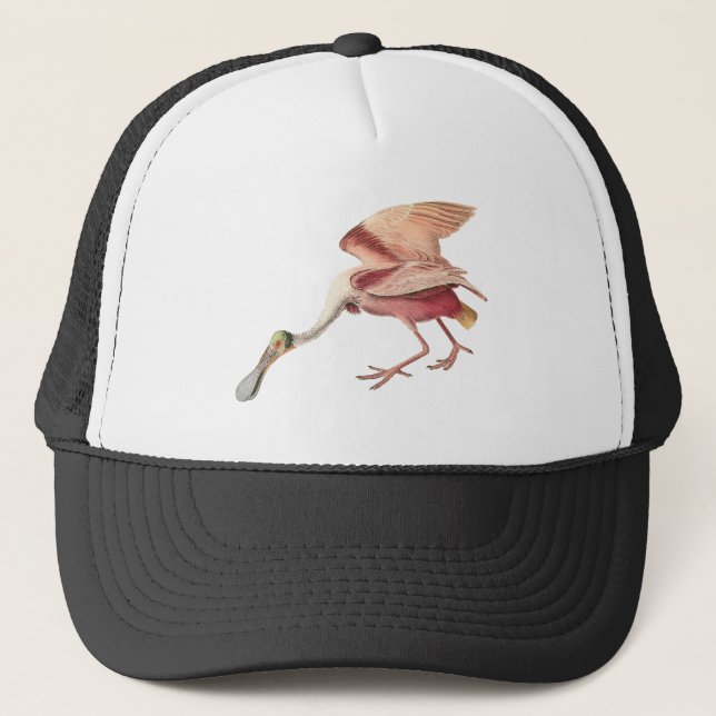 Casquette Oiseau en ardoise de rose illustrant l'art (Devant)