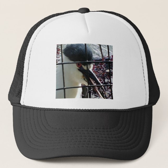 Casquette Oiseau exotique à l'image Zoo (Devant)