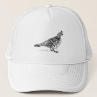 Oiseau Sletch de grouse