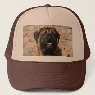 Casquette old english mastiff