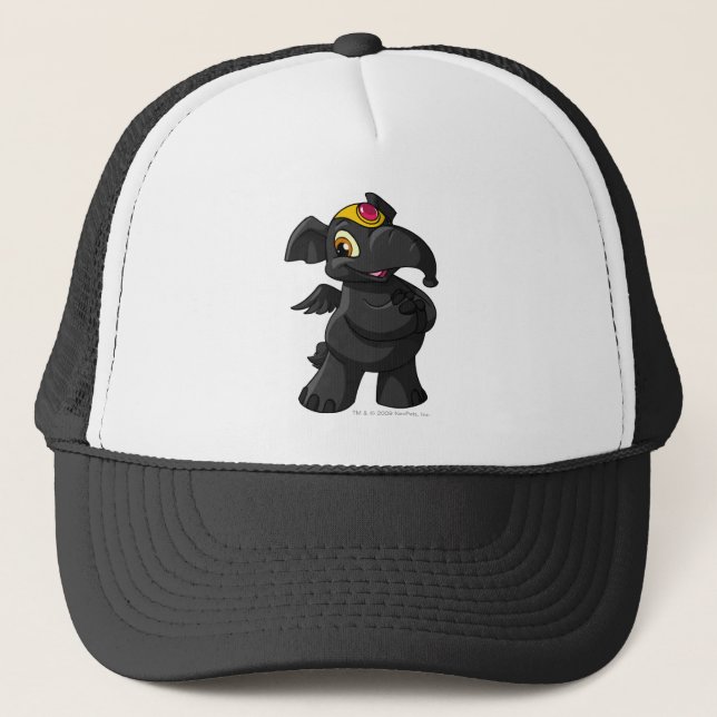 Casquette Ombre d'Elephante (Devant)