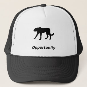 Casquette Opportunité Cheetah