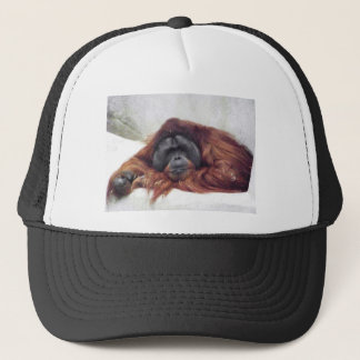 Casquette Orang-outan