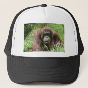 Casquette Orang-outan