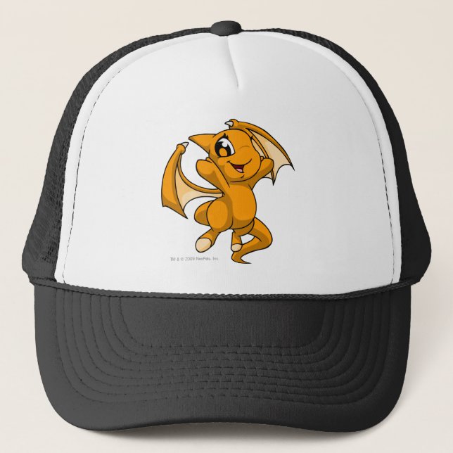 Casquette Orange de Shoyru (Devant)
