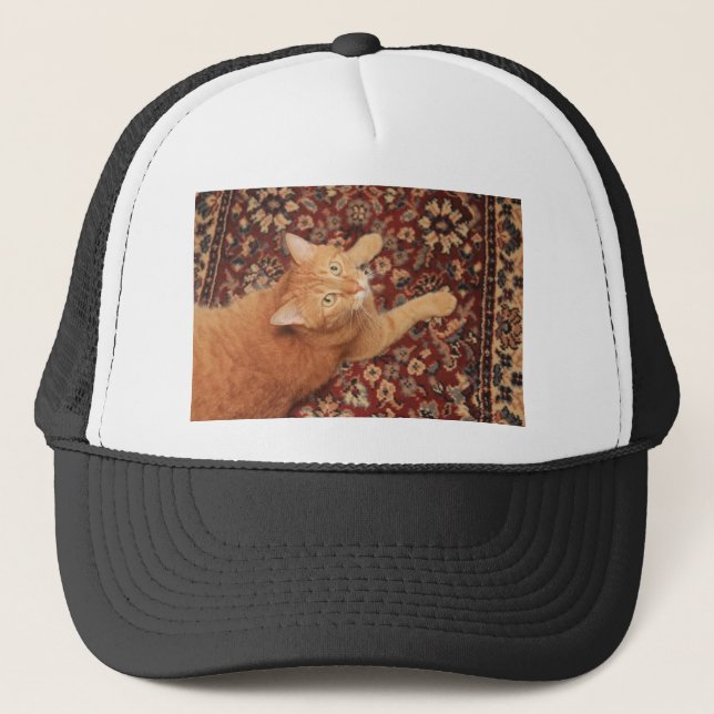 Casquette Orange Tabby (Devant)