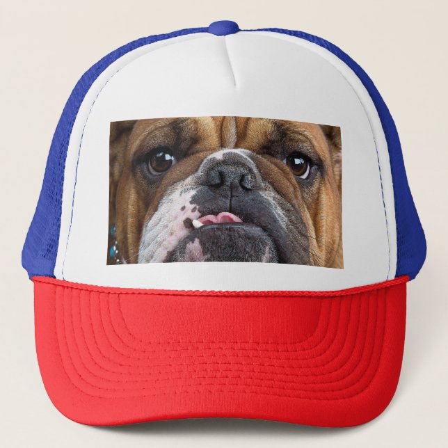 Casquette Oreillers à lancer de Bulldog anglais (Devant)