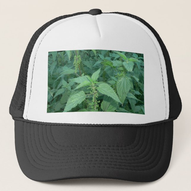 Casquette Orties cuisantes (Devant)