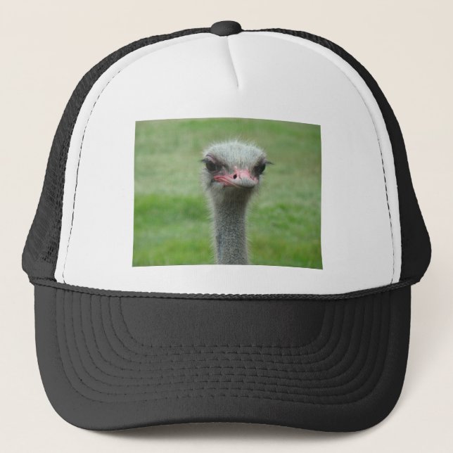 Casquette Ostrich (Devant)