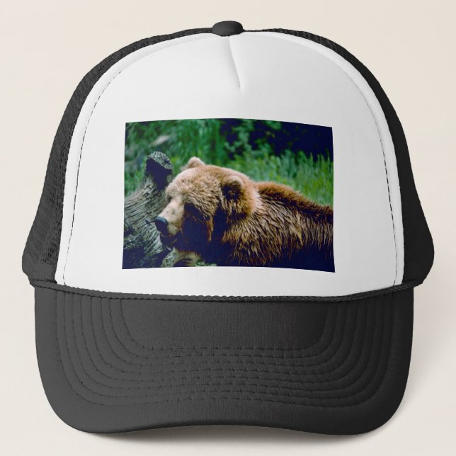 Casquette Ours Brown de Kodiak (Devant)