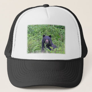 Casquette Ours noir dans les bois