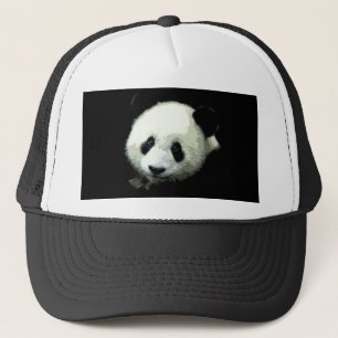Casquette Ours Panda