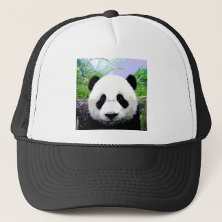 Casquette Ours Panda