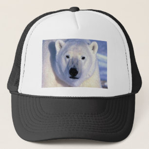 Casquette Ours polaire
