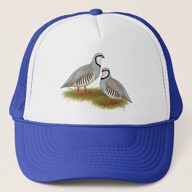 Casquette Paire de perdrix de Chukar (Devant)
