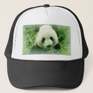 Casquette Panda