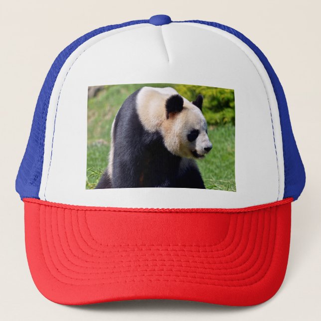 Casquette Panda géant de Closeup vu du profil (Devant)