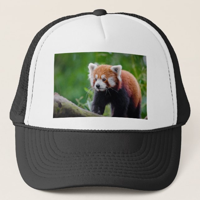 Casquette Panda rouge (Devant)