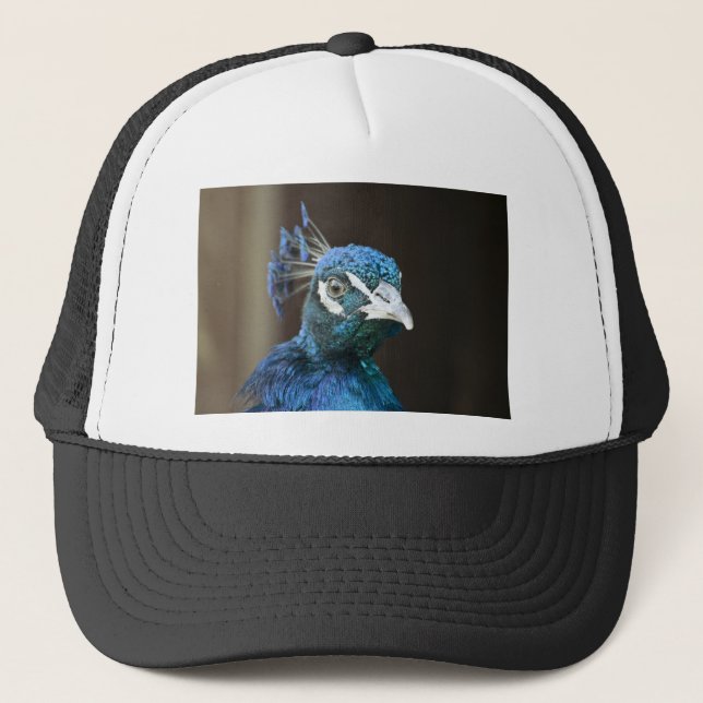 Casquette paon (Devant)
