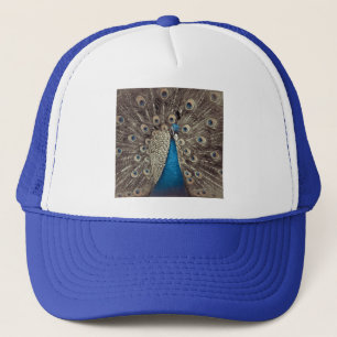 Casquette Paon Bleu Antique
